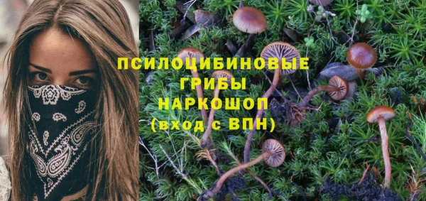 мдпв Белокуриха