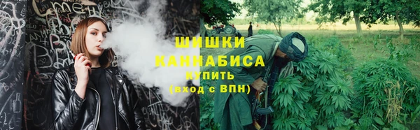 ПСИЛОЦИБИНОВЫЕ ГРИБЫ Баксан
