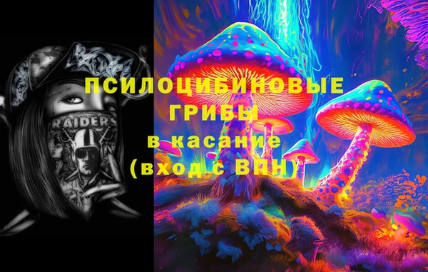 мдпв Белокуриха